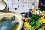 外国人「日本のスッポン鍋という料理で悲しくなったよ」