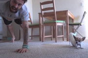 飼い主さんと一緒にヨガをするチワワが可愛すぎる！