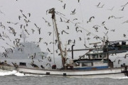 日本海で水産庁の船と北朝鮮漁船が衝突し、20人漂流（海外の反応）