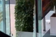 オランダの愚か者「観葉植物に化けたら、無料で映画館に忍び込めるか試してみた…」