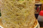 外国人「日本にはこんな凄いトッピングのラーメンがあるらしいぞ！」