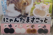 猫のタマタマをテーマにしたガチャポン、外国人に見つかってしまう…