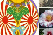 韓国人「桜もムクゲも韓国が先なのに‥」韓国の国花ムクゲの花を日本人が愛していた！戦犯旭日旗や日章旗模様もムクゲの花も　韓国の反応