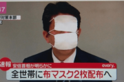 【韓国の反応】日本「アベマスク」追加配布断念、批判世論に結局中断…韓国人「後進国らしい。」