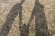 韓国人「今年上半期の出生率と離婚率の近況」