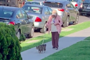 おばあさんの散歩の歩調に合わせて、ゆっくりゆっくり寄り添いながら歩く猫