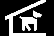 「手術後の愛犬と添い寝をして…目が覚めたら起きていたこと」とある飼い主のエピソード
