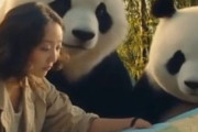 中国人「日本で買った最高のお土産！超かわいい！！」　中国人「日本的な美しさ」「満開よりも散るのが良い」