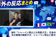海外「シャーペン禁止とか鬼畜すぎ」 日本の小学生の筆箱が緻密すぎ、シャーペン禁止に驚きの声