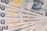 韓国人「こんな国と通貨スワップした国があったそうです」トルコが家庭の電気·ガス料金を大幅引き上げ！　韓国の反応