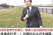 中国人「日本の食べ物が口に合わず公園でカルガモを捕まえて食べようとしたベトナム人」