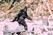 アメリカで『ビッグフット』の狩猟期間を定める法案が提出されるｗｗｗｗ
