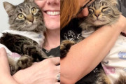 【海外】心を奪う「三脚猫」の物語：保護された野良猫が夢を叶えるまでの感動の旅