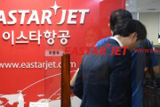 韓国人「イースター航空の破綻は自業自得だと日本が言ってるらしい...」ぷるぷる
