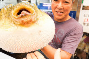 グルメユーチューバー、大阪のうまいもんに大はしゃぎ！海外の反応は？