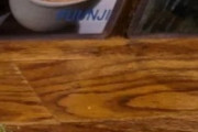 好きな日本の麺料理って何？←「うどん」「つけ麺」（海外の反応）