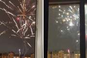 「早く窓を開けて〜！」目の前で打ち上がる花火を大興奮で眺めるワンちゃんに驚き！