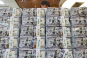 【悲報】韓国人「米韓通貨スワップ、文在寅政府の時に米韓関係が悪化して終了した？」　韓国の反応