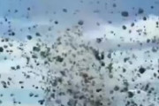 回転草が竜巻となり車を飲み込んでいく「タンブルウィード・トルネード」の映像が怖すぎる　海外の反応