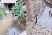 韓国人「ソウルの川にロッテモールの汚水が流入…魚が大量死」→「後進国か？」「ロッテはなぜこうなのか」