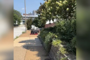 【海外】「犬の散歩中に驚愕！日差しで焼けるクレートを見つけた瞬間」