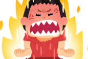 【海外】「胸糞悪い事件だ」女子高生に性的暴行を加えた容疑で逮捕されたパキスタン国籍の男に世界から怒りの声
