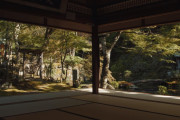 【岐阜県】郡上八幡を散策散策する映像が海外で反響！水の郷百選に選ばれた街並みが凄くキレイなんだが！　海外の反応