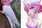 海外絵師「色んな動物をアニメキャラとして擬人化してみたよ！」