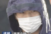 海外「日本の電車内でタバコを吸っていた男が、注意してきた高校二年生に逆ギレして暴行する」