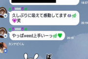 海外「日本では大麻使用をあおる投稿で逮捕される」（海外の反応）
