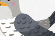 海外「日本にいる生き物はこんなに礼儀正しいのかw」日本の花鳥園にいるある鳥の朝の挨拶があまりに礼儀正しくて可愛らしいと話題に