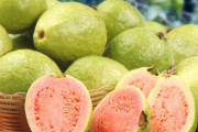 海外「お前らの国にしか存在しなさそうなレア食材といえば何？」