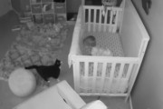 いい子でおやすみ…していなかった！夜、大人が居なくなった寝室で猫と喋りだす赤ちゃん