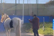 【Xの車窓から】交通法規ガン無視　ほか