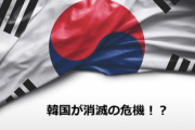 【中国の反応】韓国さん、世界第一位です！下から数えてですが…「もうすぐ韓国が消滅する」「中国も後から行きます」韓国の出生率低下は日本も中国も人ごとじゃない