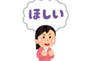 韓国人「ニンテンドースイッチ、プリンセスメーカーを発表！」→「あああ（泣）」「スイッチ買わないといけないね・・・」