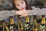 【韓国の反応】離婚後はラウンジ嬢、日本の人気ガールズグループの元メンバー「アイドルの仕事と似ている」…韓国の反応「日本は何でもプロ精神が透徹している。/AVに出たら最高。」