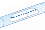 韓国人「韓国が北東アジアのハブ国になるために日本と韓国と中国を高速鉄道で繋げなければなりません」