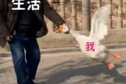 中国人「日本で生活を始める際の各種手続きは腹立つほど面倒」　中国の反応