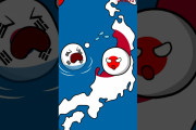 海外「日韓のこれから？をカントリーボールで描いてみた」