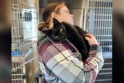 【海外】抱きしめ好きな猫ちゃん、愛情が強すぎてシェルターに行っちゃった！