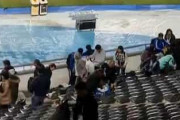 海外の反応「日本が先進国になった理由」日本代表ファンがアルゼンチンでスタジアム清掃！現地から相次ぐ賛辞