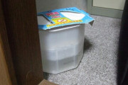 海外「日本は梅雨に入ったけどカビ対策はどうしてる？」日本ので湿気対策に対する海外の反応