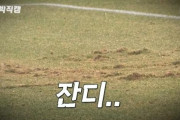 韓国人「韓国サッカー場のピッチの状態や代表戦を行うスタジアムのクオリティがこちらです…」サッカーと国の現実はリンクする？　韓国の反応