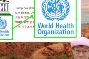 イルベトラップに引っかかった韓国の有名YouTuber…日本海議論からわずか2ヶ月で再び炎上＝韓国の反応