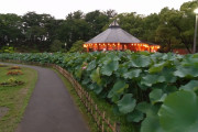 海外「本当に純粋な日本だね、千葉は最高にゴージャスだ！」千葉駅周辺を散歩する動画に外国人から大量のコメントが！