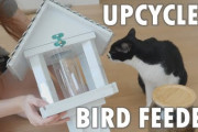 国際カップルがお庭にバードフィーダー(野鳥の餌場)を設置！！外国人「二人が動物たちを愛しているのが伝わってくるね」