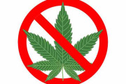 海外「承太郎役の役者が大麻所持で逮捕されたぞ！」「やれやれだぜ」「日本は大麻に関して未開」