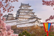 韓国人「京都の宿泊税がまさかの10倍引き上げ？桜シーズンの日本旅行にかかるコストが異次元レベルに突入」→「衝撃の悲報…」