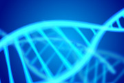 これが若く見える白人とアジア人の違いだ！　【海外の反応】
